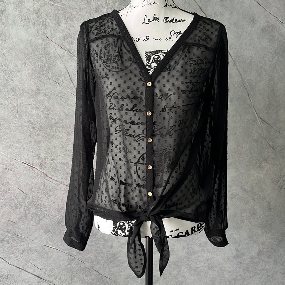The Limited Blouse